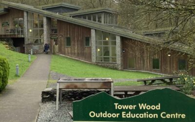Tower Wood 2024